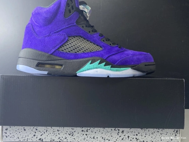 Alternate 5 Grape 136027-500 Jordan Retro Air 0615